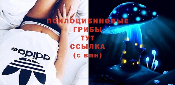 стаф Белоозёрский