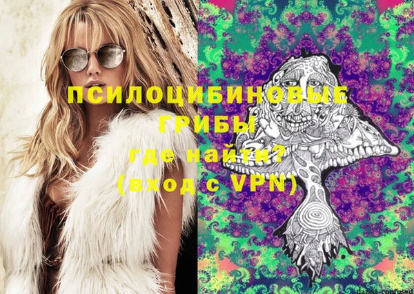 прущий лед Богородицк