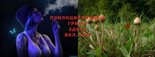 гидропоника Богородск