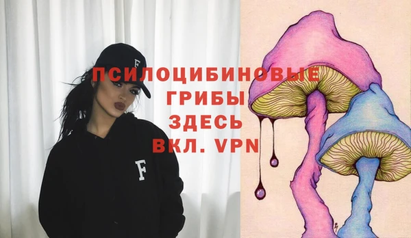 синтетический гашиш Балахна