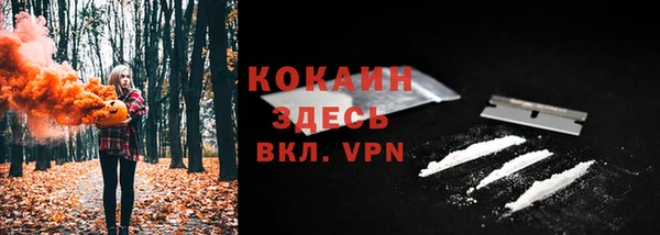 марки lsd Белокуриха