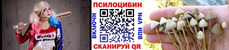 купить наркотик  Венёв  Галлюциногенные грибы мухоморы 